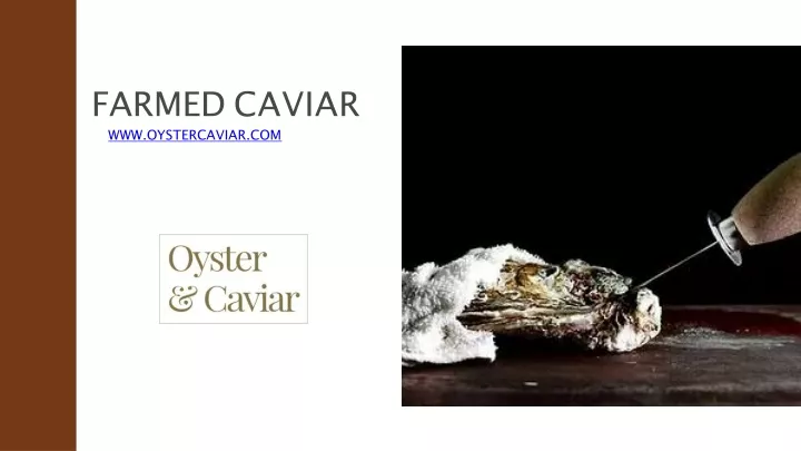 farmed caviar www oystercaviar com