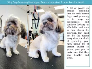 Why Dog Grooming Huntington Beach Is Important To Your Poochs Health