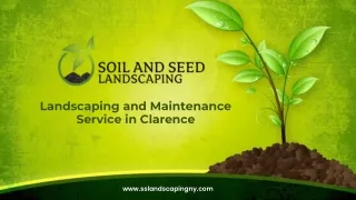 Landscaping and Maintenance Service in Clarence