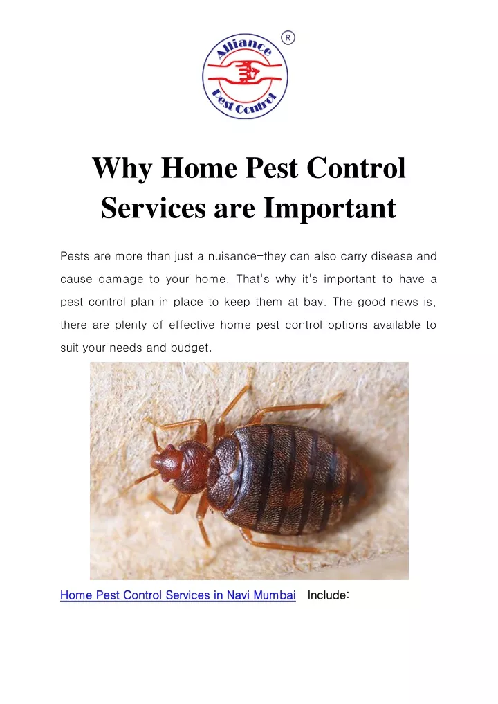 why home pest control services are important