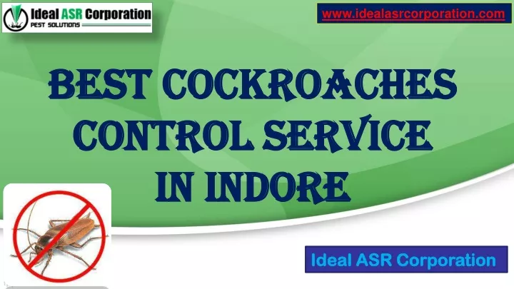 best cockroaches control service in indore