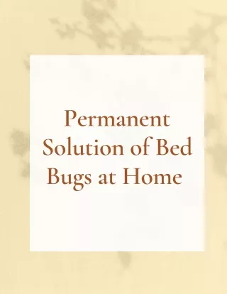 permanent solution of bed bugs at home