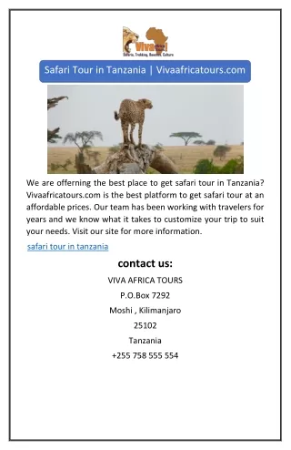 Safari Tour in Tanzania | Vivaafricatours.com
