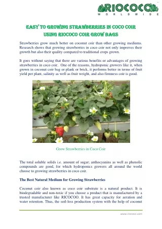 easy to growing strawberries in coco coir easy