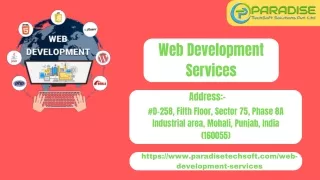 Custom Web Development services Mohali