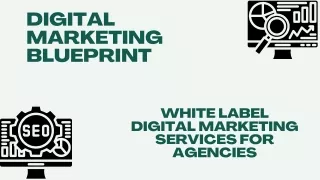 White Label Seo