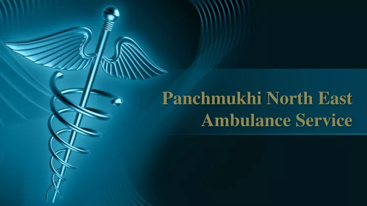 panchmukhi north east ambulance service