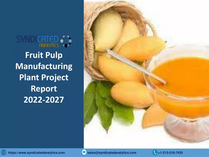 fruit pulp manufacturing plant project report