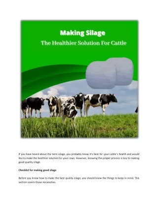 making silage_ the healthier solution for cattle