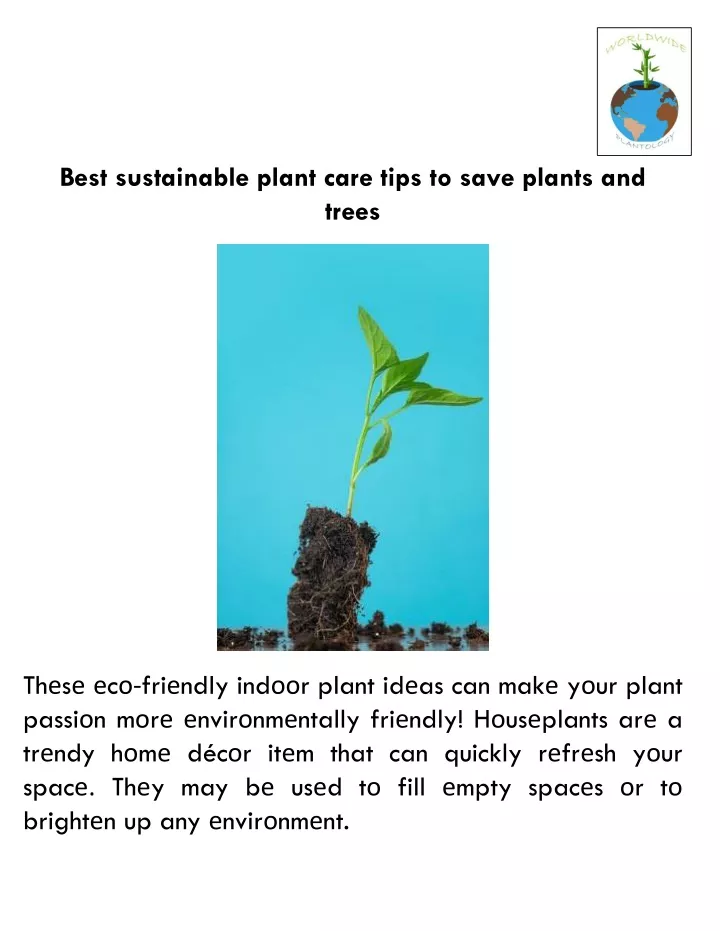 best sustainable plant care tips to save plants