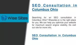 Seo Consultation In Columbus Ohio   Wisesites.io