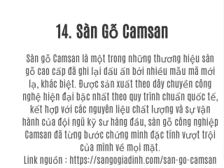 14.	Sàn Gỗ Camsan