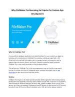 Why FileMaker Pro Becoming So Popular for Custom App Development. - slide 1