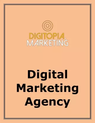 Digital Marketing Agency 