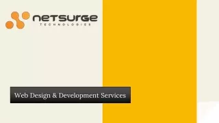 Web Design & Development Services - Netsurge