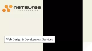 Best Website Development Company - Netsurge
