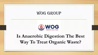 Anaerobic Digester process for Bacteria Break | WOG Group