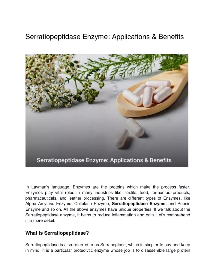 serratiopeptidase enzyme applications benefits