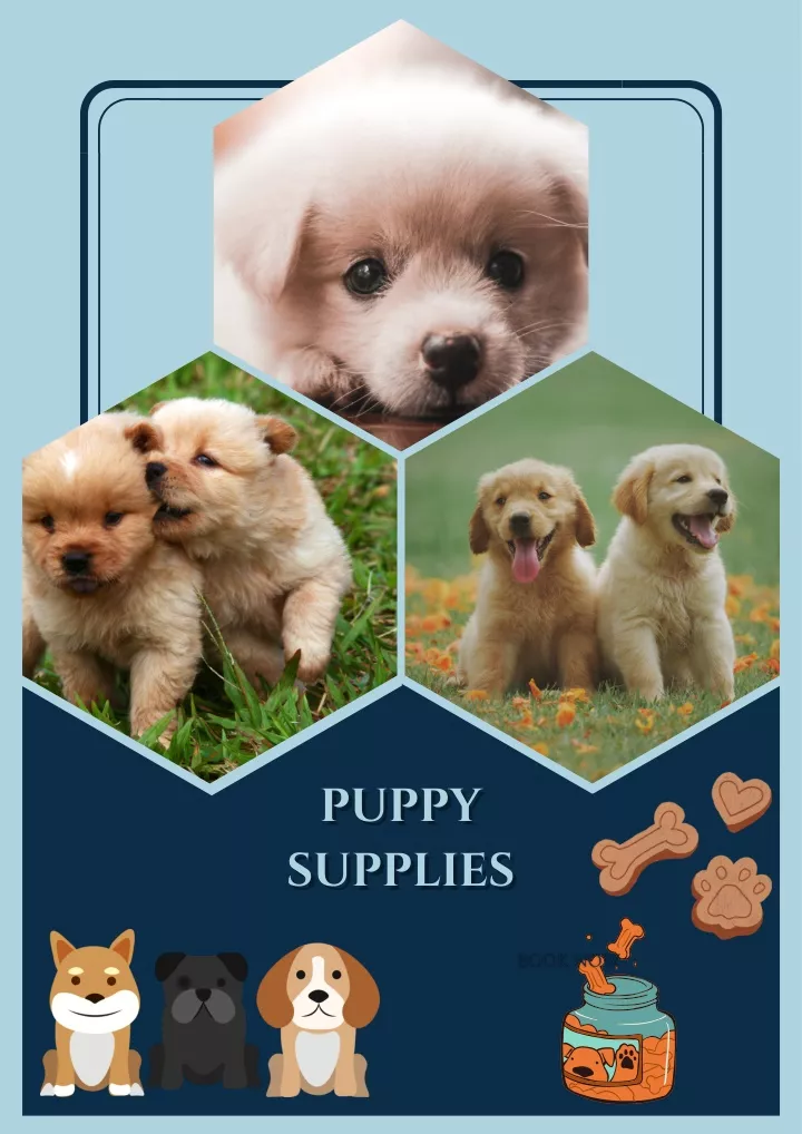 puppy puppy supplies supplies