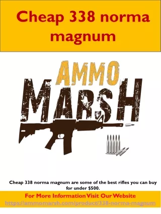9MM ammo