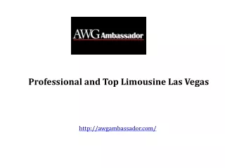 Top Limousine Las Vegas at USA