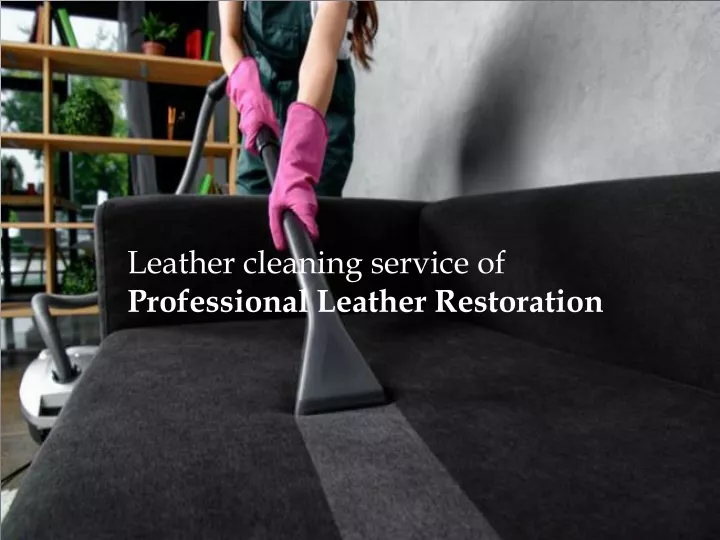 leather cleaning service of professional leather