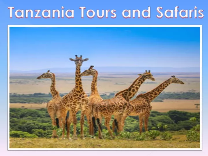 tanzania tours and safaris