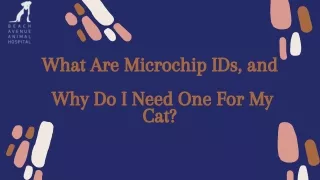 What Are Microchip IDs, And Why Does My Cat Need One?