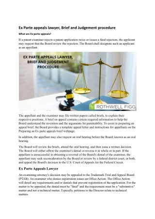 Ex Parte appeals lawyer, Brief and Judgement procedure.docx
