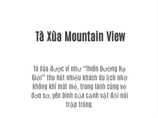 t x a mountain view