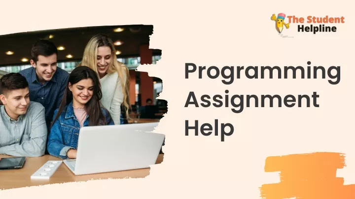 programming assignment help