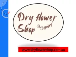 Wholesale Dried & Preserved Flower Online Store