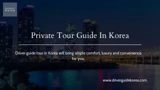 Private tour guide in Korea