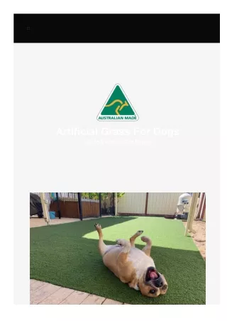 Artificial Grass For Dogs