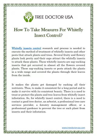 how to take measures for whitefly how to take