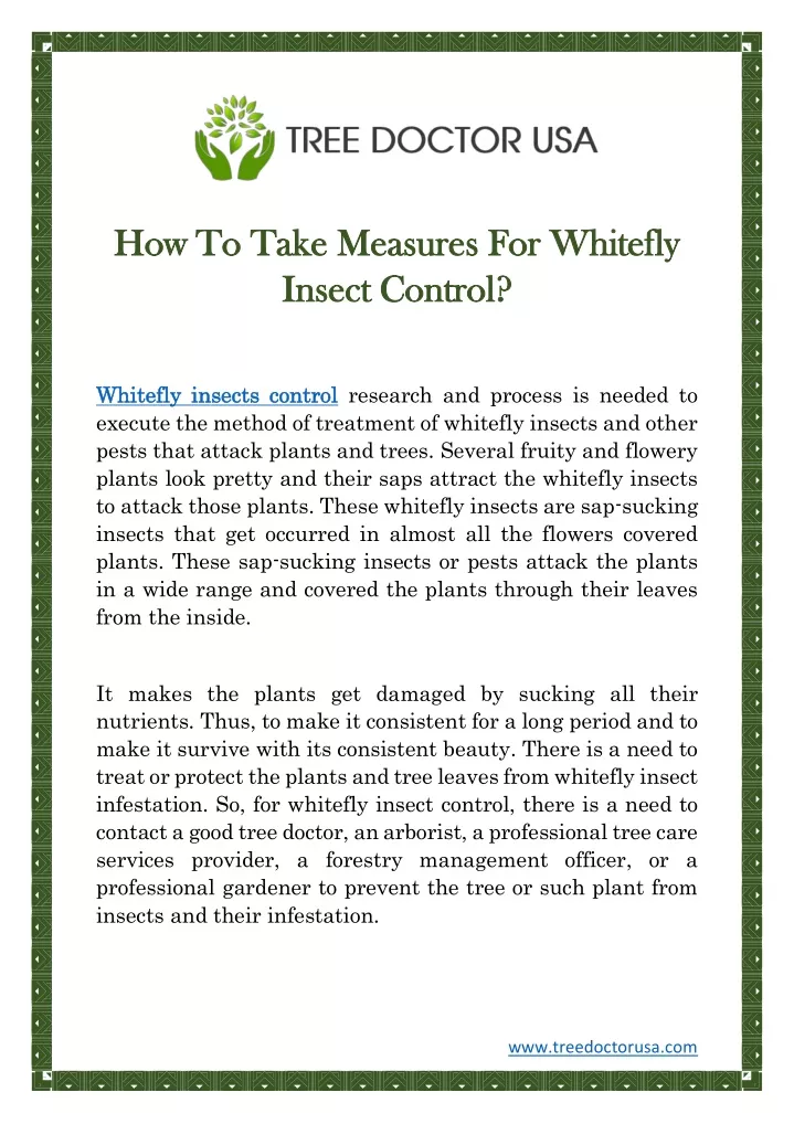 how to take measures for whitefly how to take