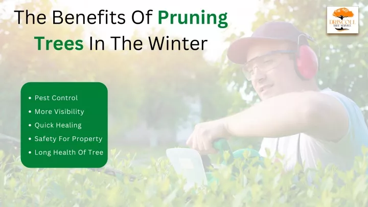 the benefits of pruning trees in the winter