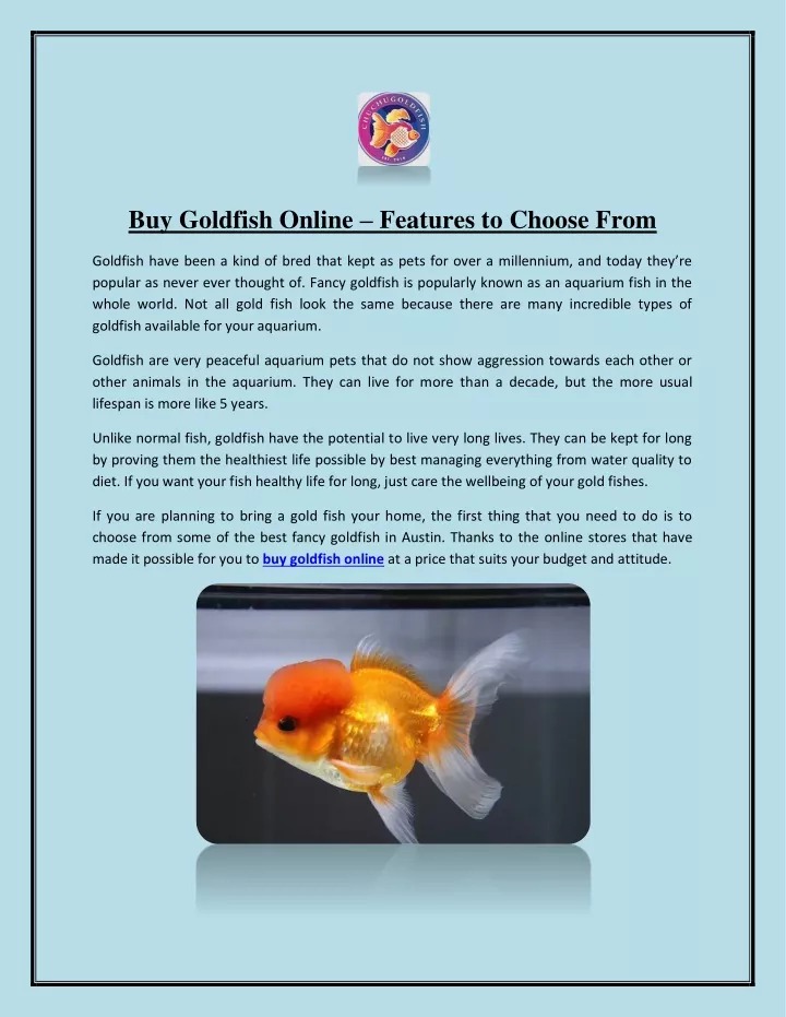 PPT Buy Goldfish Online Features to Choose From PowerPoint PPT Buy Goldfish Online Features to Choose From PowerPoint