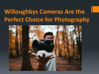 Willoughbys Cameras Are the Perfect Choice for Photography