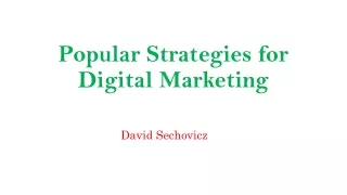 Popular Strategies for Digital Marketing | David Sechovicz