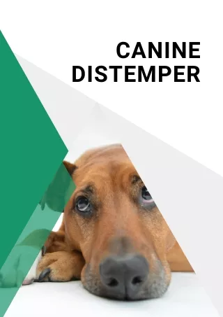 signs and symptoms of canine distemper