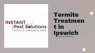 Termite Treatment in Ipswich