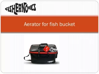 aerator for fish bucket