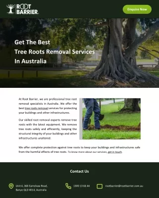 Get The Best Tree Roots Removal Services In Australia