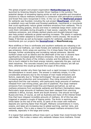 the global program and project organization