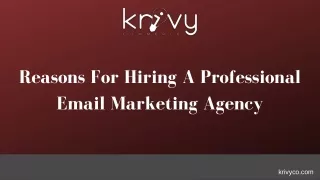 Reasons For Hiring A Professional Email Marketing Agency