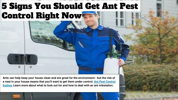 5 signs you should get ant pest control right now