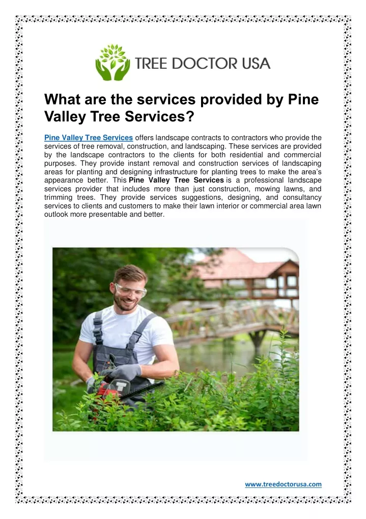 what are the services provided by pine valley