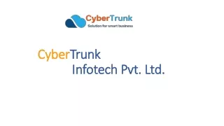 cyber trunk infotech pvt ltd