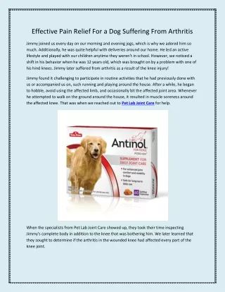 Effective Pain Relief For a Dog Suffering From Arthritis